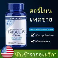 ราคา ฮอร์โมนเพศชายช่วยเพิ่มความแข็งแรง แคปซูล Tribulus Terrestris ฮอร์โมนเพศชาย อาหารเสริมสุขภาพของผู้ชาย เครื่องช่วยแข็ (22789924674)