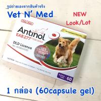 ราคา Antinol EAB 277 for Dog บำรุงกระดูกและข้อ สุนัข support joint health and mobility in dog (21757979292)
