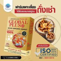 ราคา Global Plus เห็ดถั่งเช่าแท้100 ถั่งเช่าฟิวชั่น 1 กล่องมี 30 แคปซูล (22109872873)