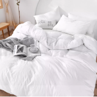 ราคา ไส้ผ้านวมไมโครไฟเบอร์ คอตต้อน 100 เนื้อนุ่ม น้ำหนักเบา เกรดโรงแรม มีทุกไซส์ Duvet Microfiber 100 Cotton Super Soft Lightweight Hotel Quality (8971293088)