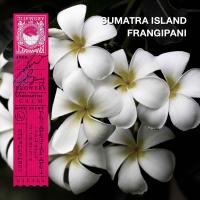 ราคา KARMAKAMET Original Body Spray คามาคาเมต สเปรย์น้ำหอม ฉีดตัว เพิ่มความหอม ผ่อนคลาย ของขวัญ (1194230720)