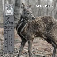 ราคา KARMAKAMET Original Body Spray คามาคาเมต สเปรย์น้ำหอม ฉีดตัว เพิ่มความหอม ผ่อนคลาย ของขวัญ (1194230738)