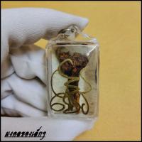 ราคา เดือยงูเหลือม ของขลังให้โชค เลี่ยมหนังงูเหลือม พุทธเด่นด้านโชคลาภ (21083637243)