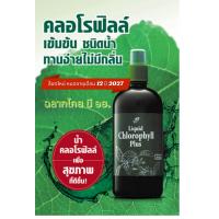 ราคา น้ำคลอโรฟิลล์ คลอโรฟิลล์เข้มข้น ขนาด 500 มล ของแท้ คลอโรฟิว คลอโรฟิลล์ ล็อตใหม่ หมดอายุ 12 2027 (526714317)