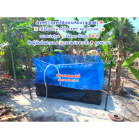 ราคา กระชังบก 2x3 ม ขอบ 50 ซม ผ้าpeหนา 0 3 มิล มุ้งฟ้าไนล่อนเกรด A 90 ซม (16557553949)