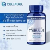 ราคา TG ฮอร์โมนเพศชาย เสริมสมรรถภาพท่านชาย ผลิตภัณฑ์สุขภาพสำหรับผู้ชาย แคปซูล Tribulus terrestris แอนโดรเจนเพิ่มความแข็งแรงขอ (24625147413)