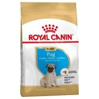 ราคา Royal Canin Pug Junior อาหารสุนัขแบบเม็ด สำหรับลูกสุนัขพันธุ์ปั๊ก 1 5kg (3675744572)