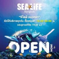 ราคา E Ticket บัตรซีไลฟ์ พารากอน Sea Life Ocean World Bangkok Sealife ซีไลฟ์ (23288346149)