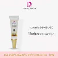 ราคา EGF แต้มหลุมสิว DEEP REPAIRING SPOT CORRECTOR (502812471)