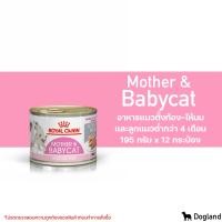 ราคา Royal Canin Mother Babycat อาหารสำหรับ แม่และลูกแมว (14186943122)