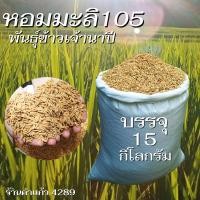 ราคา เมล็ดพันธุ์ข้าวเจ้านาปี หอมมะลิ 105 บรรจุ 15 Kg พันธุ์ข้าวเจ้าอย่างดี คัดพิเศษ ปลูกเองขายเองโดยวิธีธรรมชาติ (20358960746)