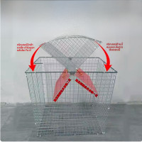 ราคา เครื่องจับผีเสื้อแบบอัตโนมัติพร้อมกล่องเก็บผีเสื้อสำหรับฟาร์มไก่และไก่ปีกนิ่งแบบใหม่ ไม่มีแบรนด์ (24265850616)