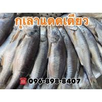 ราคา ปลากุเลาแดดเดียว ไม่เค็มมาก 1 กิโล ไซร้ 2 3 ตัวโลค่ะ (16540370239)