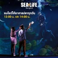 ราคา Digital Coupon Sealife Oceanworld Bangkok ซีไลฟ์ โอเชี่ยนเวิล์ด สยามพารากอน ส่งไว ราคาพิเศษ (19449255673)