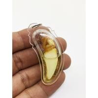 ราคา เขี้ ยวเสือ แช่น้ำมันพญาเสือโคร่ง จารยันต์ (19258591396)