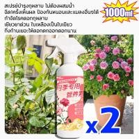 ราคา 1วันเห็นผล ปุ๋ยกุหลาบ my roses น้ำยา ปุ๋ยกุหลาบ ญี่ปุ่น ปุ๋ยดอกไม้ ปุ๋ยบำรุงดอกไม้ ขวดสเปรย์พร้อมใช้500mlสเปรย์บำรุงกุหลาบ ผสมสาร กันหนอนและแมลง กำจัดโรคดอกกุหลาบ ปุ๋ย my roses สเปรย์ เร่งดอก กุหลาบ (