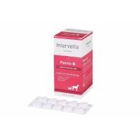 ราคา Dr Choice Ferro B อาหารเสริมบำรุงเลือดยกกล่อง 100เม็ด (22826534058)