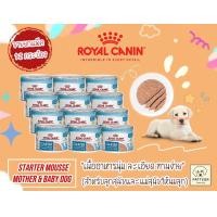 ราคา Royal Canin Starter Mousse Mother Baby dog อาหารเปียกสำหรับลูกสุนัขช่วงหย่านม 2 เดือน และแม่สุนัขตั้งท้องที่ให้นมลูก (23525594809)