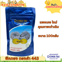 ราคา ฟักทองทองคำ443 F1 เมล็ดพันธุ์ ลายข้าวตอก 100 ก ตราเจียไต๋ (5433564873)