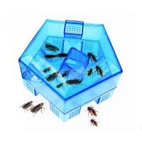 ราคา Trap Killer Bugs Catcher Roacher Cockroach Insects (814518042)