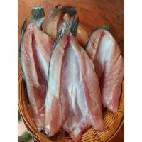 ราคา ถูก ดี ปลาช่อนแดดเดียว ปลาเค็ม ของแท้จากสิงห์บุรี เจ้าพระยา ปลาแดดเดียว (24347519115)