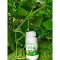 ราคา โคโยตี้ (21635166637)