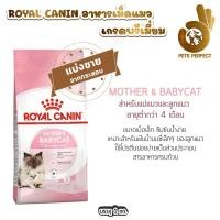 ราคา Royal Canin รอยัลคานิน อาหารสำหรับแมว แบ่งขายตักจากกระสอบ 1kg (24358577227)