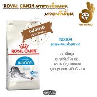 ราคา Royal Canin รอยัลคานิน อาหารสำหรับแมว แบ่งขายตักจากกระสอบ 1kg (24358577234)