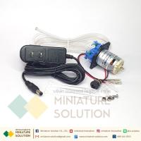 ราคา Kamoer Motor Peristaltic Dosing Pump ปั๊มปุ๋ย ปั๊มสารเคมี เกรดอุตสาหกรรม Dosing Liquid Transfer CKP DC S08 12V5W (18830399222)