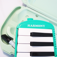 ราคา เมโลเดียน อย่างดี สีเขียว (17070455714)