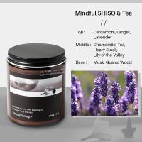 ราคา เทียนหอมกลิ่นหอมบำบัดร่างกายและจิตใจ หลับสบาย สดชื่น สงบนิ่ง มีพลัง scented candle aromatic candle soy wax essential oil (10768901357)