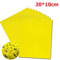 ราคา แผ่นกาวดักแมลง มีกาวในตัว 100 300 500 แผ่น สีเหลือง แผ่นกาวดักแมลงขนาด 20x15 ซม กาวเหนียว 2 ด้าน กาวดักแมลงวันทอง เหนียว ทนแดด สำหรับดักแมลงวันทอง แมลงศัตรูพืช ต่างๆ (24290876685)