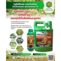 ราคา กลูโฟซิเนต แอมโมเนียม glufosinate ammonium ยากำจัดวัชพืชแบบเผาไหม้ ใช้แทนพาราควลตไดคลอไรต์ กรัมม็อกโซน (16821163522)