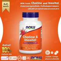 ราคา NOW Foods Choline and Inositol Contains 100 vegetable capsules No 3283 (21503394639)