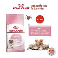 ราคา Royal Canin Mother Babycat ขนาด 1 2kg บำรุงแม่แมวและลูกแมว อาหารแมว (21250123657)