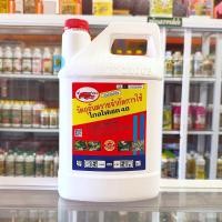 ราคา ไกล โฟเซต48 ขนาด 4 ลิตร ตราเข้แดง สารกำจัดวัชพืช กำจัดวัชพืชใบแคบ วัชพืชใบกว้างประเภทดูดซึม (19793020218)