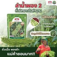 ราคา เมล็ดถั่วฝักยาว ลำน้ำพอง2 ตราศรแดง ขนาด100กรัมและ500กรัม เมล็ดพันธุ์ถั่วฝักยาว ถั่วฝักยาว ถั่วฝักยาวลำน้ำพอง2 ศรแดง (14469195736)