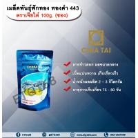 ราคา เมล็ดพันธุ์ฟักทอง ทองคำ 443 ตราเจียไต๋ 100g ซอง เมล็ดพันธุ์ เมล็ดพันธุ์ผัก เมล็ดพันธุ์พืช เมล็ดพันธุ์ฟักทอง (22107109609)