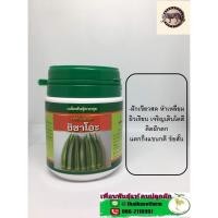 ราคา Promotion สุดคุ้ม กระเจี๊ยบเขียว ฮิซาโอะ50กรัม ราคาถูก พรรณ ไม้ น้ำ พรรณ ไม้ ทุก ชนิด พรรณ ไม้ น้ำ สวยงาม พรรณ ไม้ มงคล (18473039944)