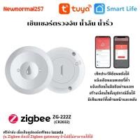 ราคา Tuya Zigbee WiFi Water Leak Sensor เซ็นเซอร์ตรวจจับน้ำล้น จับน้ำรั่ว Zigbee WiFi ส่งฟรี เมื่อเก็บโค้ดส่งฟรีที่หน้า คูปองส่วนลด ของ Lazada (24426027318)