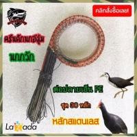 ราคา ครืนดักนกอีลุ้ม บ่วง 4 5นิ้ว ครืนไก่ป่า บ่วงไก่ นกอีลุ้ม ครืนดักไก่ ครืนดักนกกวัก บ่วงเดี่ยว 30 หลัก หลัก 2 0มิล ยาว 6 5 นิ้ว ระบบล็อก (2044682368)