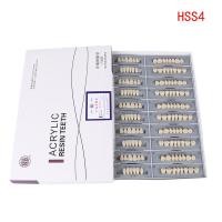 ราคา 5 Sets Box Dental Synthetic Polymer Teeth Resin Denture Dental Teeth Model (24325484560)