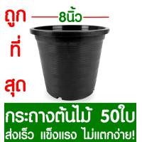 ราคา กระถางต้นไม้ กระถางพลาสติก ขนาด 8 นิ้ว 50ใบ กระถางกลม กระถางต้นไม้พลาสติก กระถางปลูกต้นไม้ กระถางดำ กระถางพลาสติกดำ Flower pot (2069554150)