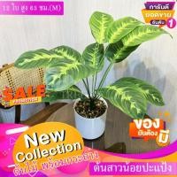 ราคา ต้นไม้ปลอม ต้นสาวน้อยปะแป้ง รุ่น 12 ใบ 1ต้น ไม้ตกแต่งบ้าน ต้นไม้ตกแต่งออฟฟิศ ร้านกาแฟ ต้นไม้ประดิษฐ์ (16537272117)