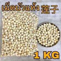 ราคา เม็ดบัวแห้ง 1 กิโลกรัม 莲子 1 Kg lotus seed ลูกบัวแห้ง เม็ดใหญ่ไม่มีเปลือก Lian zi เหลียนจื่อ ไนจี้ เม็ดบัวจีน ลูกบัวจีน เมล็ดบัว ธัญพืช (19812040224)