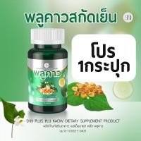 ราคา พลูคาว สกัดเย็น คาวตอง มีโปร1แถม1 น้ำเหลือง เสริมภูมิ กราก สัง สะเก็ด แคปซูลพลูคาว พลูคาวสมุนไพร (22582139748)