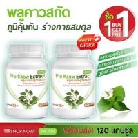 ราคา ตัวช่วยเสริมภูมิ ต้านไวรัส จาก พลูคาวสกัดสูตรเข้มข้น พลูคาว พลูคาวสกัด PK Plus Plu Kaow 1 กระปุก 60 แคปซูล (21645430667)