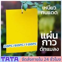 ราคา มีสต็อกพร้อมส่งจากไทย ที่ดักแมลง กาวดักแมลงวัน สองด้าน แผ่นกาวดักแมลง 50 100 200 500แผ่น กับดักแมลงกินผัก เหนียวกับดักแ ดักแมลงศัตรูพืช กับดักแมลงวัน กาวดักแมลง (24513007091)