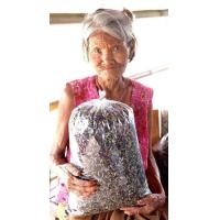 ราคา อัญชัน ตากแห้ง 1 กก สวนภูมีสุข จ ศรีสะเกษ (24405657963)