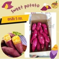 ราคา มันหวานญี่ปุ่นยกลัง 5 กิโลกรัม (19070687137)